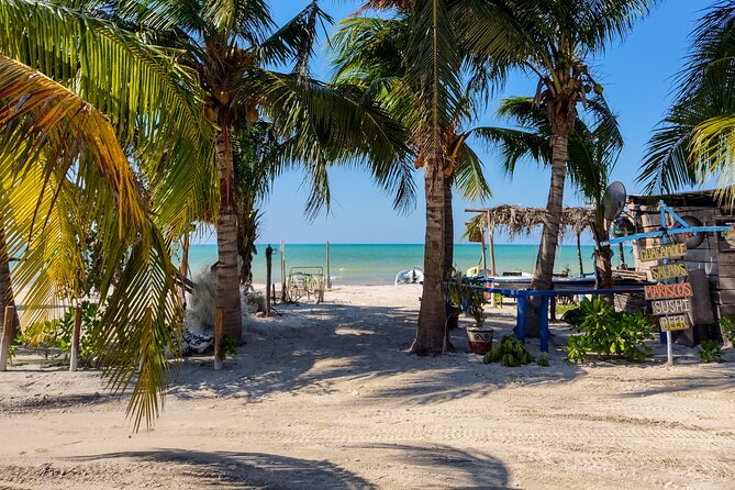 Small-Group Holbox Island Tour With Yalahau Lagoon and Lunch  - Tulum - Cancellation Policy and Weather Conditions