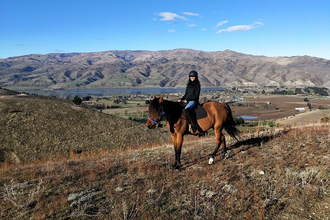 Small-Group Horse Trekking, Central Otago  - Queenstown - Cancellation Policy