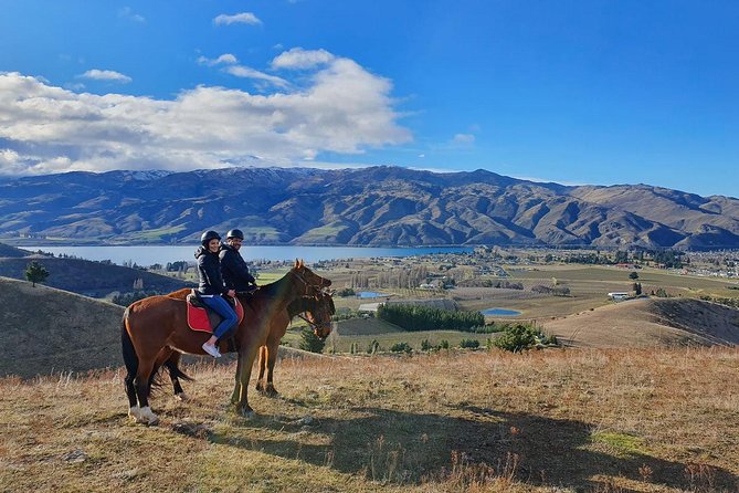 Small-Group Horse Trekking, Central Otago  - Queenstown - Riding Helmets Provided
