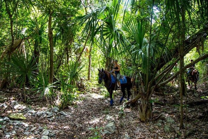 Small-Group Horseback Ride  - Playa Del Carmen - Tips for a Great Horseback Riding Experience