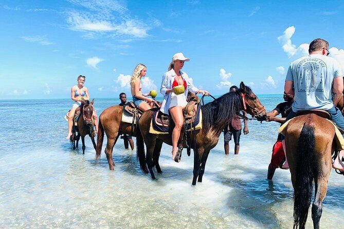 Small Group Horseback Riding Adventure in Caicos Islands - The Sum Up