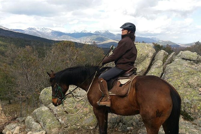 Small-Group Horseback Riding Tour of Sierra De Guadarrama  - Madrid - Customer Reviews and Recommendations