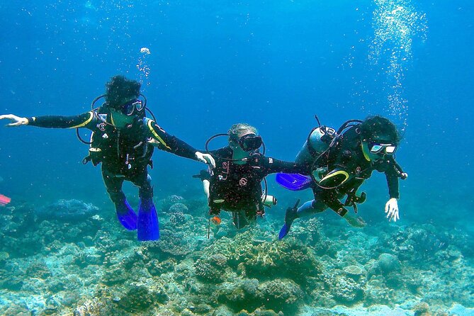 Small-Group Introductory Scuba Diving in Pula - Activity Schedule and Orientation
