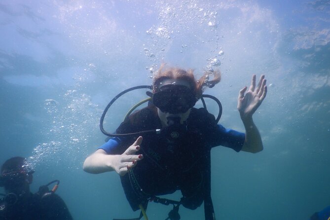 Small-Group Introductory Scuba Diving in Pula - The Sum Up