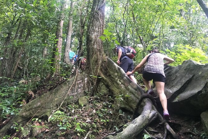 Small-Group Jungle Hiking Excursion in Khao Phra Teaw Park - Tour Overview and Details