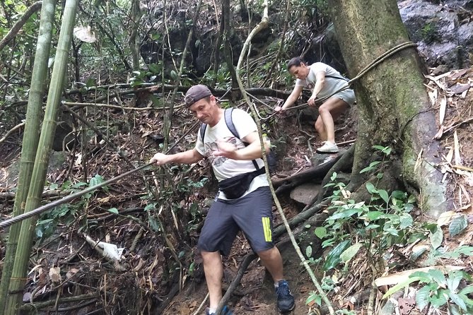 Small-Group Jungle Hiking Excursion in Khao Phra Teaw Park - Cancellation Policy