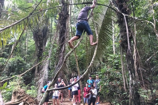 Small-Group Jungle Hiking Excursion in Khao Phra Teaw Park - Testimonials
