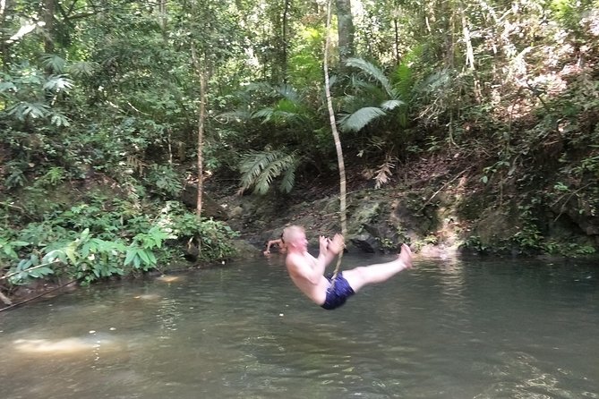 Small-Group Jungle Hiking Excursion in Khao Phra Teaw Park - Recommendations, Tips, and Hosts Responses