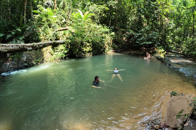 Small-Group Jungle Hiking Excursion in Khao Phra Teaw Park - Background Information