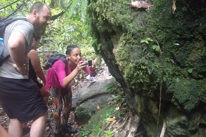 Small-Group Jungle Hiking Excursion in Khao Phra Teaw Park - Directions