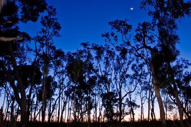 Small Group Kangaroo Island Evening and Night Tour - Meeting and Pickup