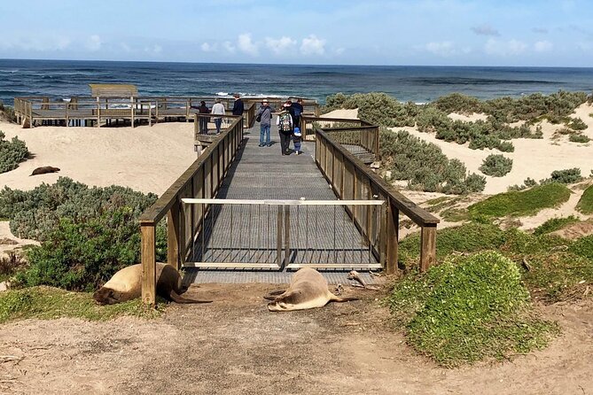 Small Group Kangaroo Island Tour - Best of KI - Common Questions