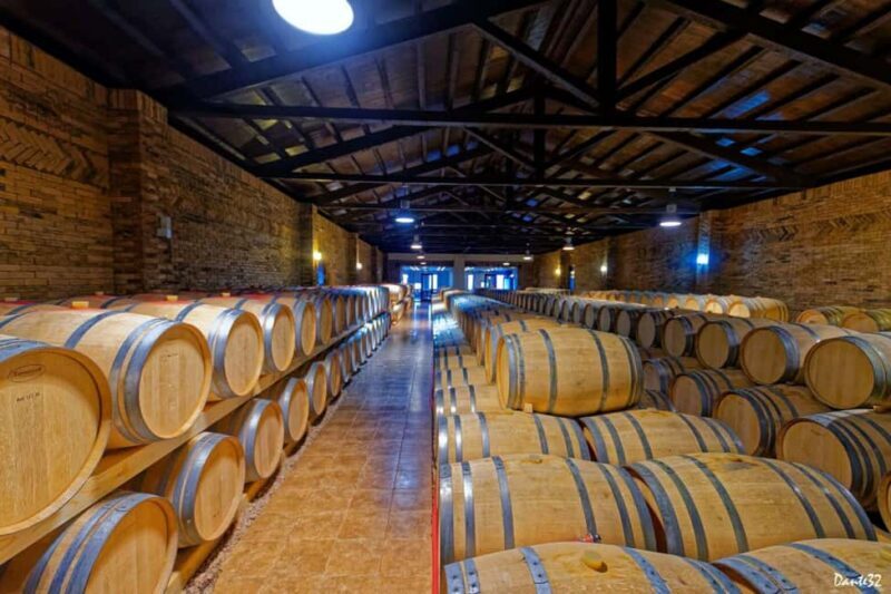 Small Group Kavala Tour: Pangaion Mountain & Wine Tasting - What Travelers Say