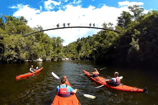 Small-Group Kayak Day Tour With Return Water Taxi, Abel Tasman  - Marahau - Tour Inclusions