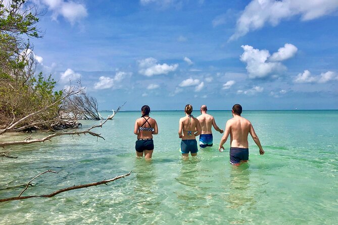Small Group Kayak Tour of the Shell Key Preserve - Overview and Tour Details