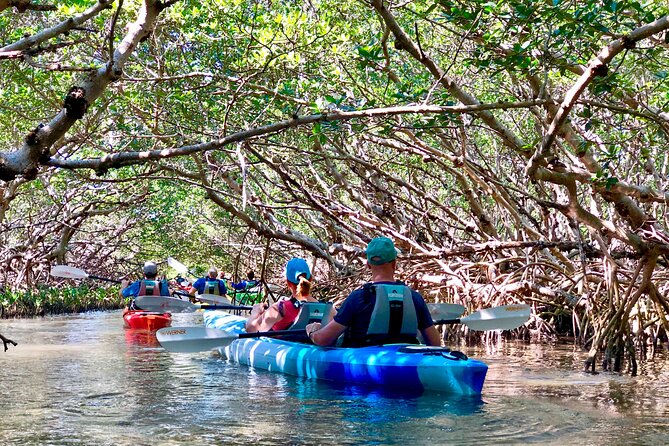 Small Group Kayak Tour of the Shell Key Preserve - Whats Included and Additional Information