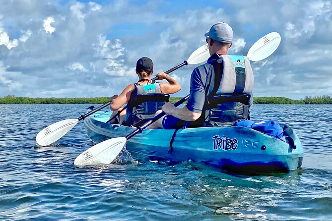 Small Group Kayak Tour of the Shell Key Preserve - Customer Reviews and Recommendations