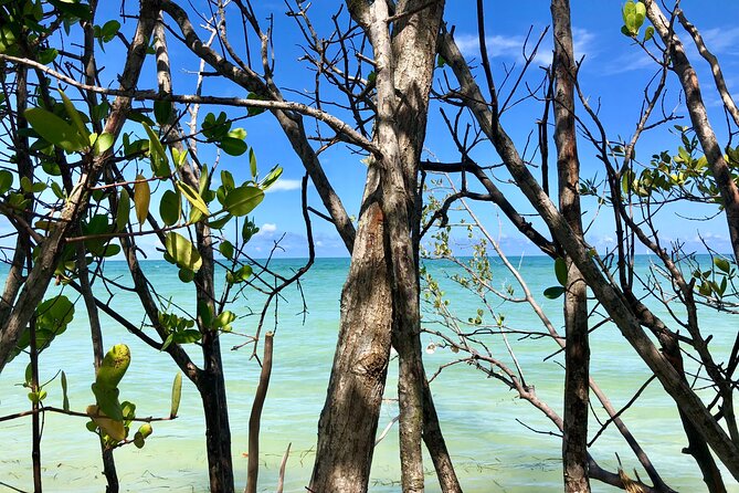 Small Group Kayak Tour of the Shell Key Preserve - Directions