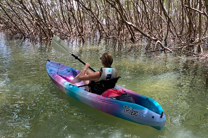 Small Group Kayak Tour of the Shell Key Preserve - The Sum Up