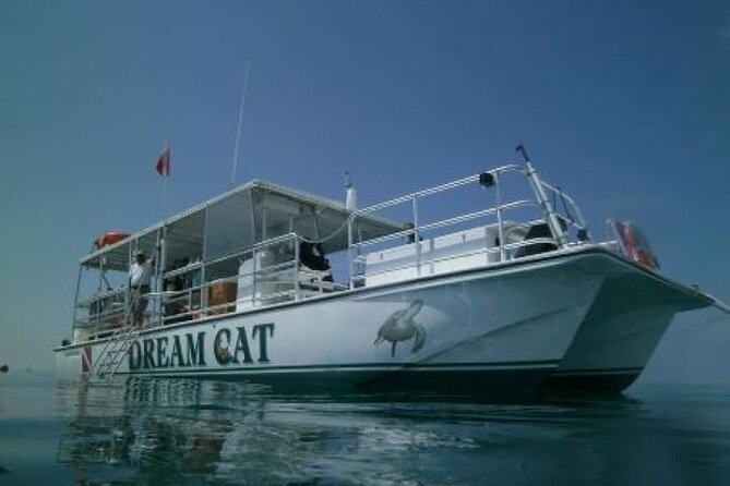 Small Group Key West Snorkel Adventure - Accessibility and Group Size