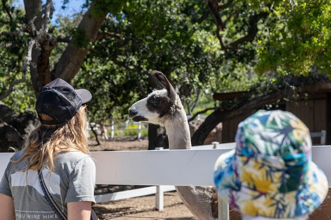 Small-Group Malibu Wine Hike - Traveler Photos and Reviews