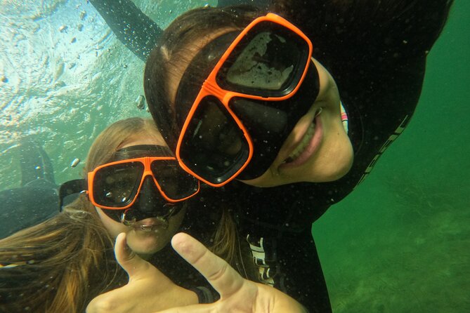Small Group Manatee Swim Tour With In Water Guide - Tour Guides