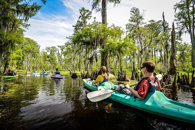 Small-Group Manchac Magic Kayak Swamp Tour With Local Guide - Pricing and Booking
