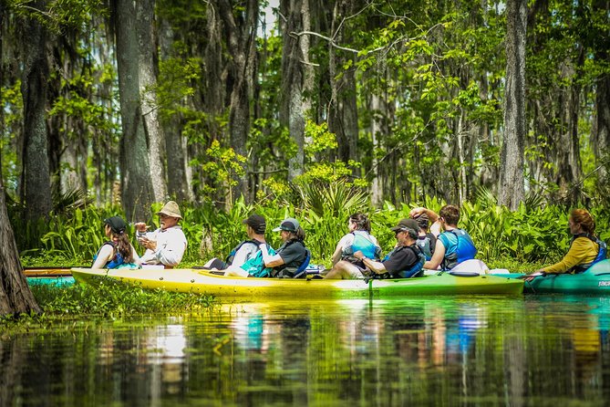 Small-Group Manchac Magic Kayak Swamp Tour With Local Guide - Common Questions