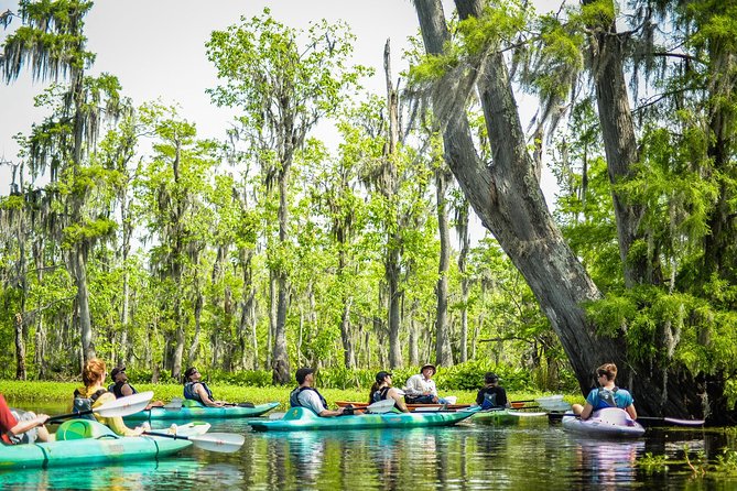 Small-Group Manchac Magic Kayak Swamp Tour With Local Guide - The Sum Up
