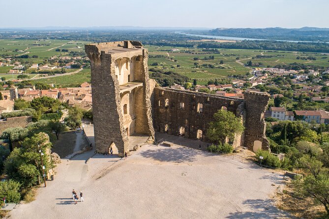 Small Group Marseille Shore Excursion : Avignon & Chateauneuf Du Pape Wine Tour - Last Minute Booking and Language Barrier