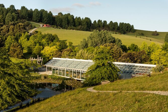 Small-Group Matakana Coast Food and Wine Tour From Auckland - Specific Pickup Details