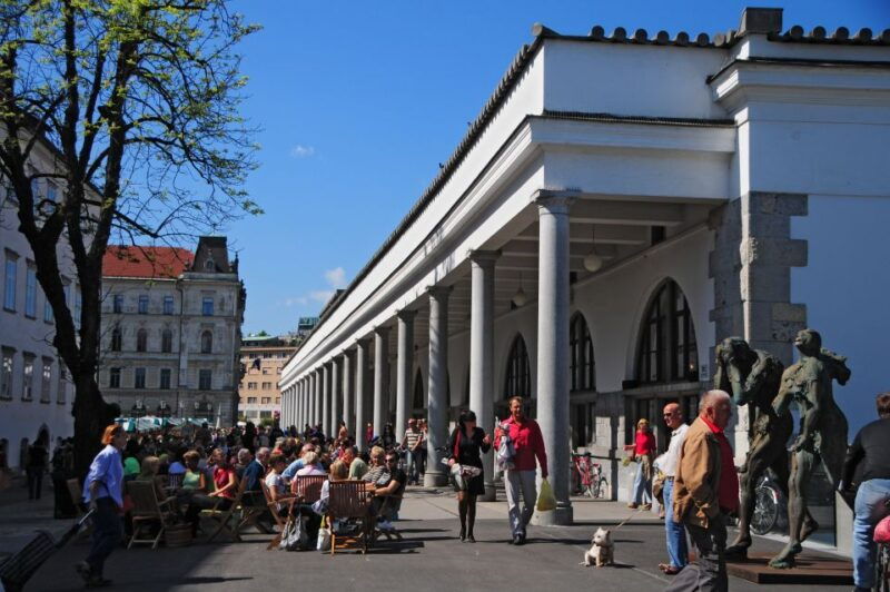 Small Group (Max 6): Ljubljana Hidden Gems Tour from Koper - The Transportation and Logistics