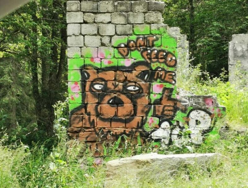 Small group max 7 - Bears Safari on Top Gear -Transfgran - Final Thought: Is It Worth It?