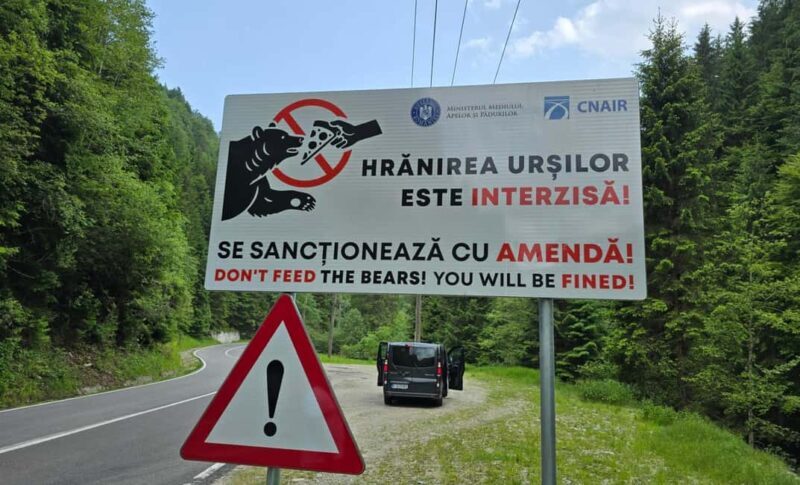 Small group max 7 - Bears Safari on Top Gear -Transfgran - FAQ