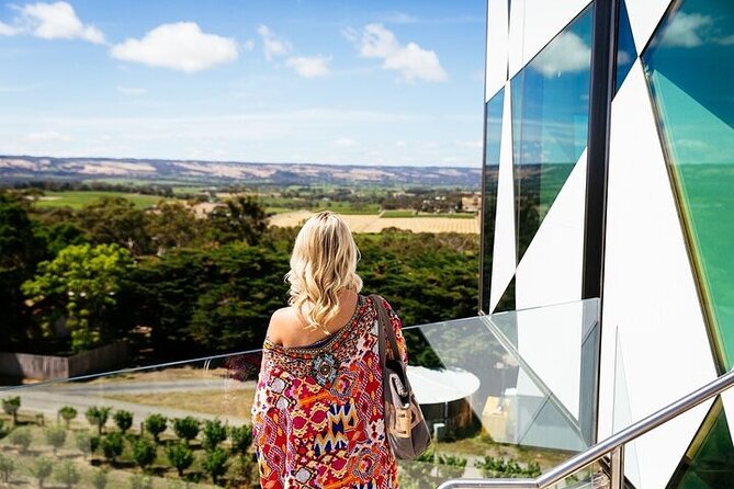 Small Group McLaren Vale and The Cube Experience - Overview of McLaren Vale and The Cube