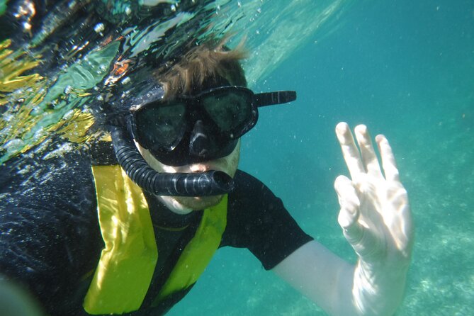 Small-Group Mesoamerican Barrier Reef Snorkeling in Puerto Morelos - Snorkeling Experience and Recommendations