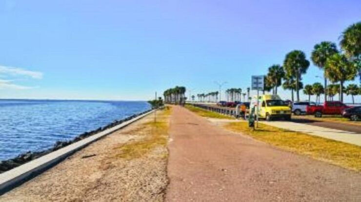 Small Group Miami and Everglades National Park 1-day Tour - Highlights: Wynwood Walls