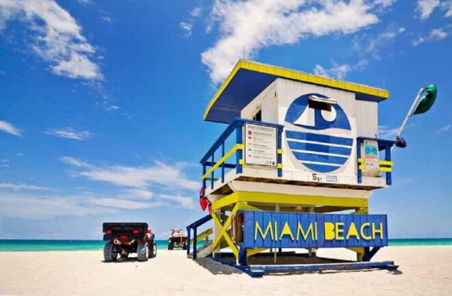 Small Group Miami and Everglades National Park 1-day Tour - Highlights: Miami Bay Cruise