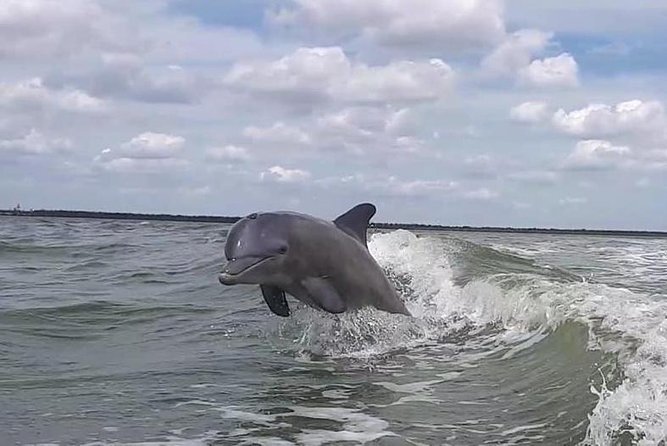 Small Group Motorboat Eco Tour of the Everglades - Serene Island Nature Experience