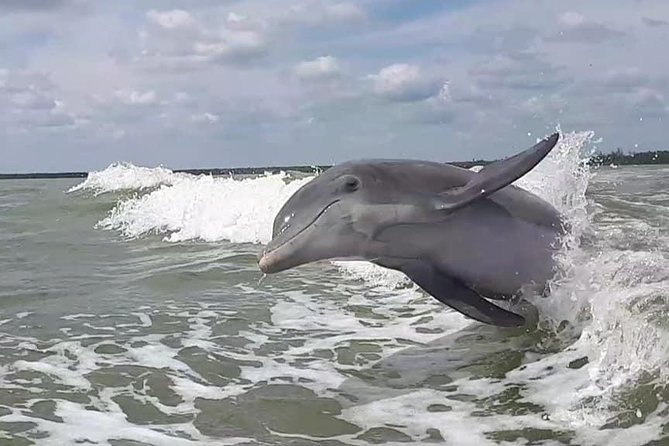 Small Group Motorboat Eco Tour of the Everglades - Traveler Photos and Reviews