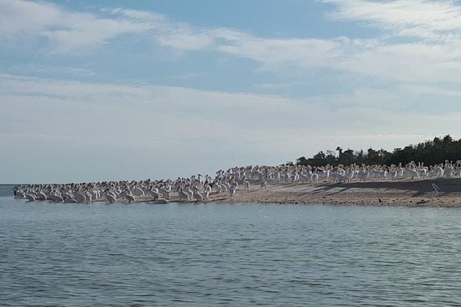 Small Group Motorboat Eco Tour of the Everglades - Additional Information