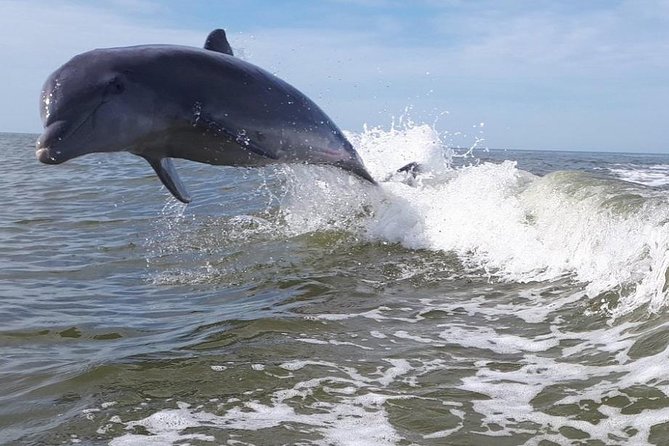 Small Group Motorboat Eco Tour of the Everglades - Common Questions