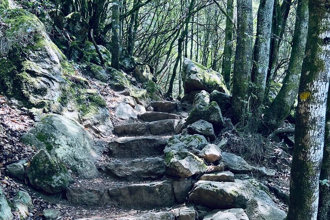 Small Group Mountain Day Trip - Pricing and Terms
