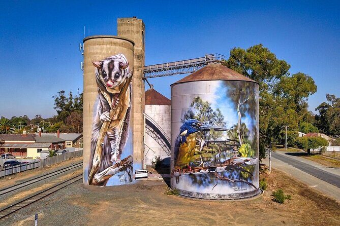 Small-Group Murray River Adventure - Paddle Steamer & Wildlife - An In-Depth Look at the Itinerary