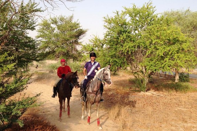 Small-Group Mushrif Park Horse Ride in Dubai - Overview and Experience