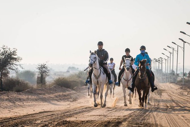 Small-Group Mushrif Park Horse Ride in Dubai - Inclusions