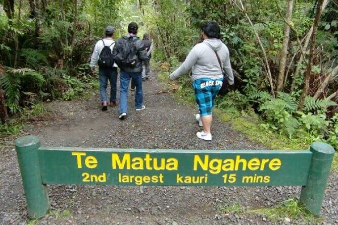 Small-Group Mystical Waipoua Forest Kauri Tour from Auckland - Who Should Book This Tour?