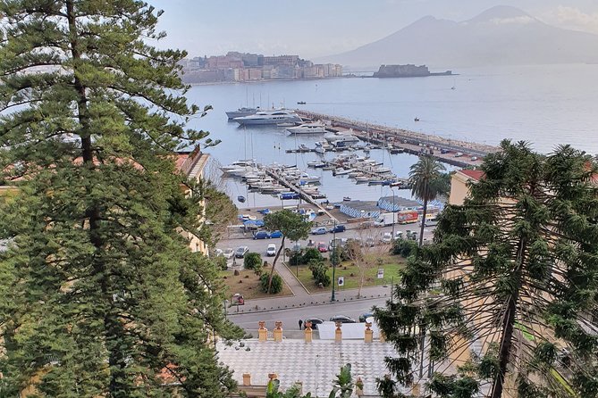 Small Group Naples City Sightseeing Tour - Feedback and Reviews