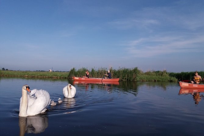 Small-Group Nature-Filled Canoeing Tour From Amsterdam  - North Holland - Cancellation Policy and Reviews