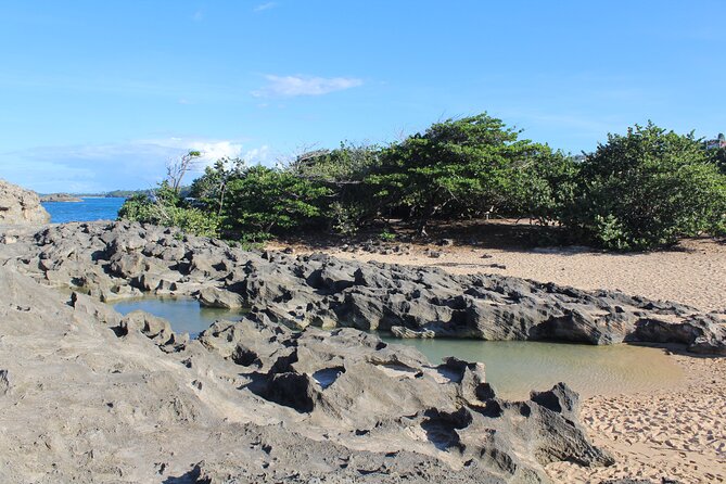 Small-Group North Coast Beach Hopping Adventure in Puerto Rico - Local Ecosystem Insights